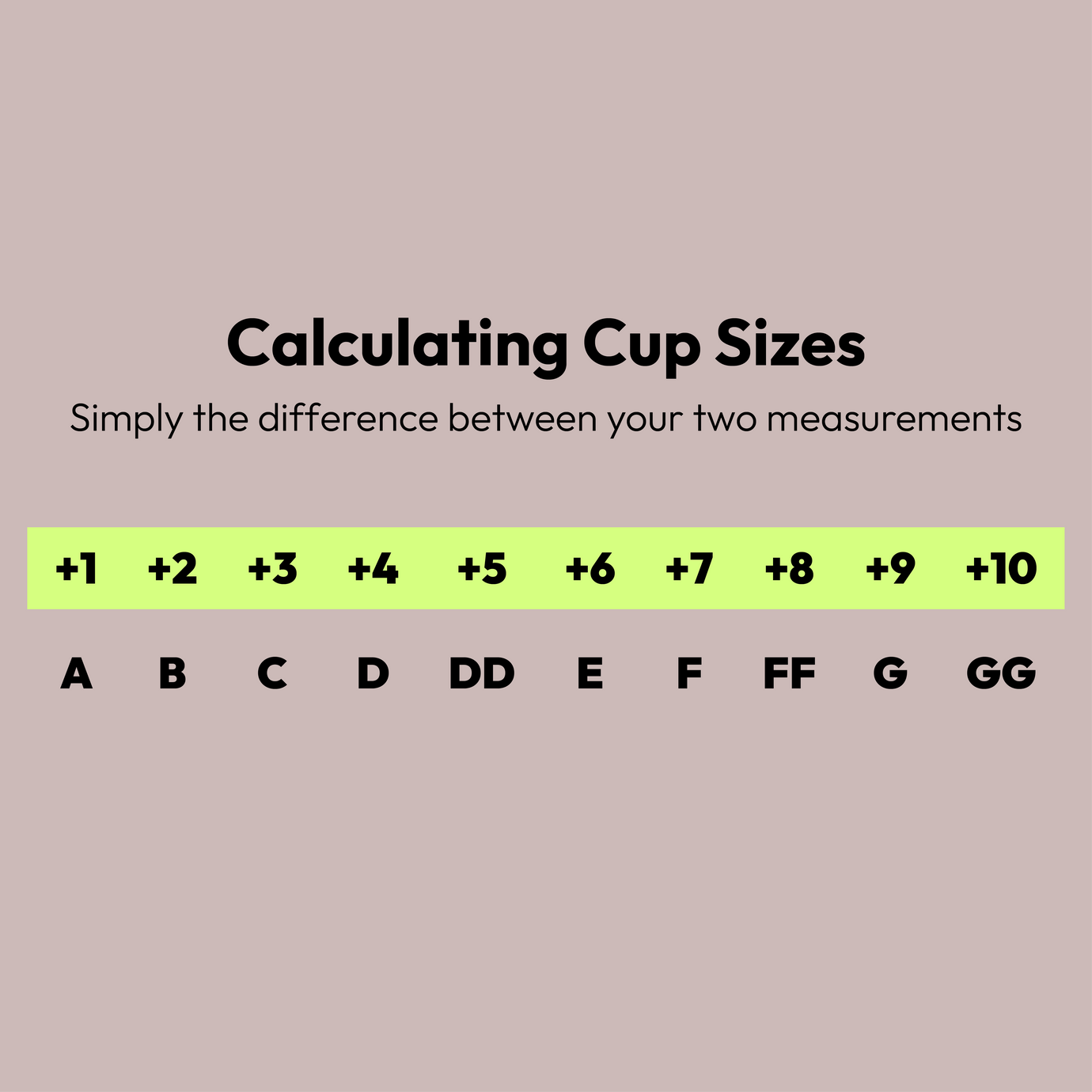 PEBE Sports Bra Size Check